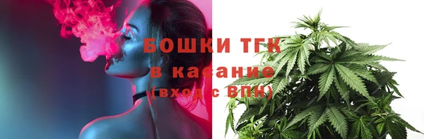 молекула духа Бугульма