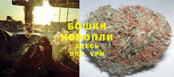 герыч Бронницы