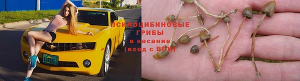 молекула духа Бугульма