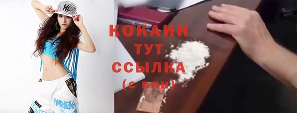 ешки Бородино