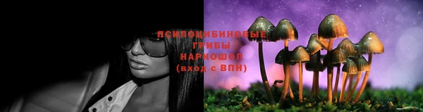 герыч Бронницы