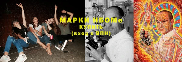 ешки Бородино