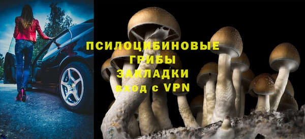 молекула духа Бугульма