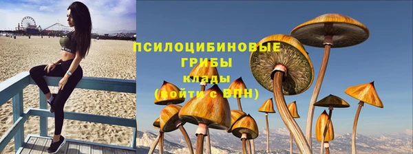 молекула духа Бугульма