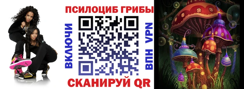 Галлюциногенные грибы Cubensis кракен зеркало Брюховецкая