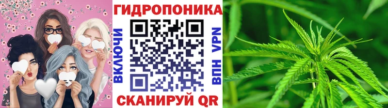 где купить наркоту  kraken зеркало  МАРИХУАНА семена  Брюховецкая 